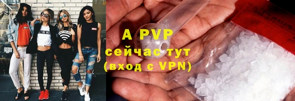 индика Белокуриха