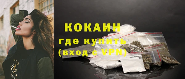 твердый Богородицк