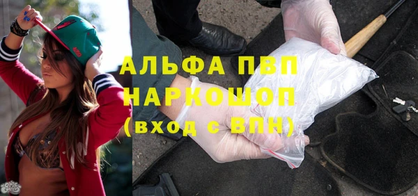 индика Белокуриха