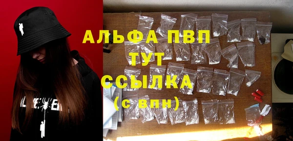 spice Пересвет