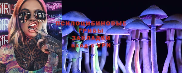 твердый Богородицк