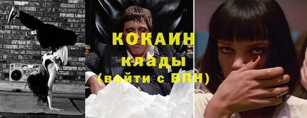 индика Белокуриха